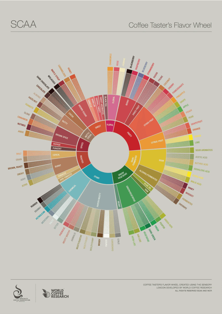 Sunburst treemap of the new coffee flavor wheel.