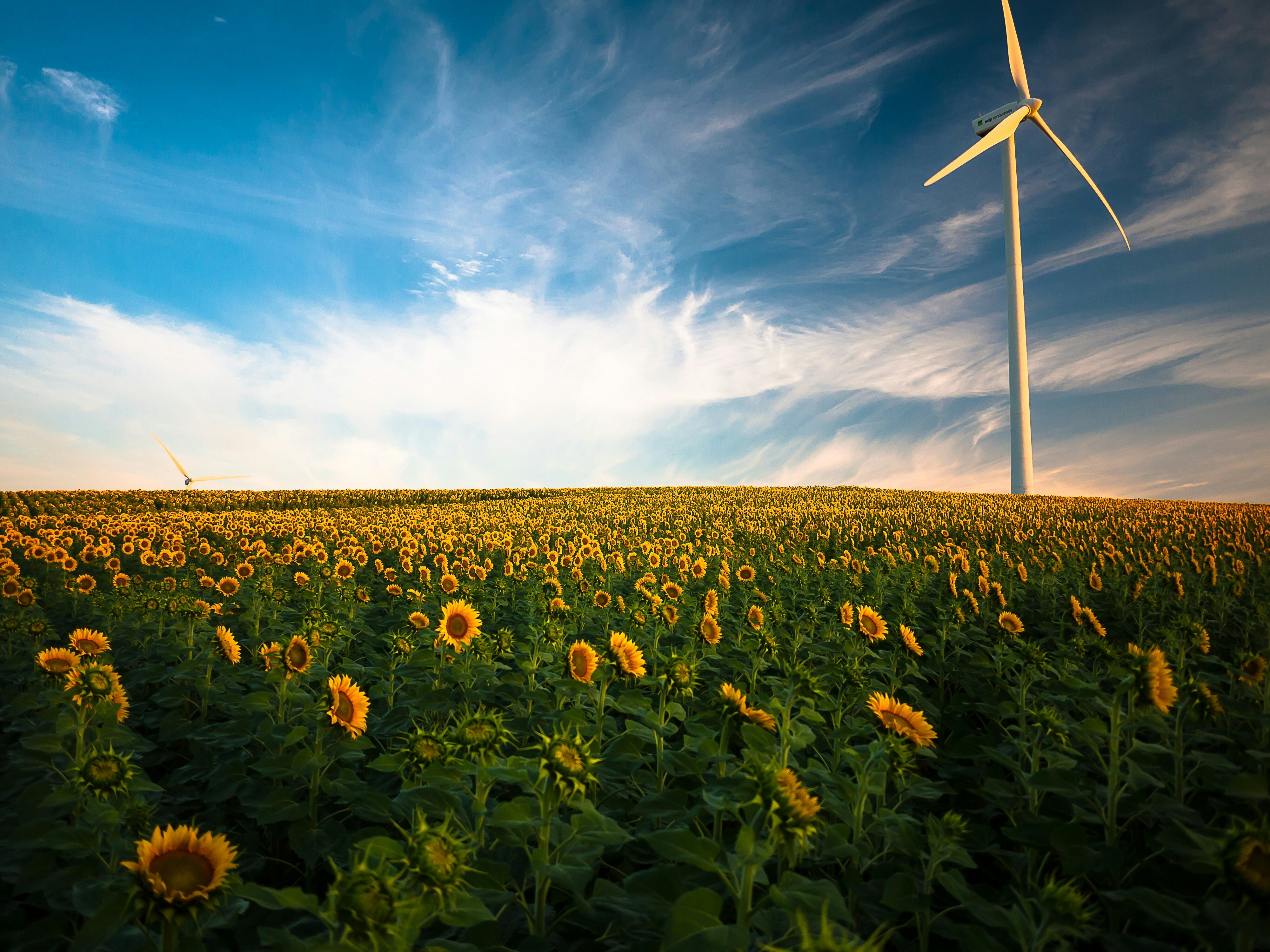 datylon-blog-The-Ultimate-Guide-to-ESG-Reporting-sustainability