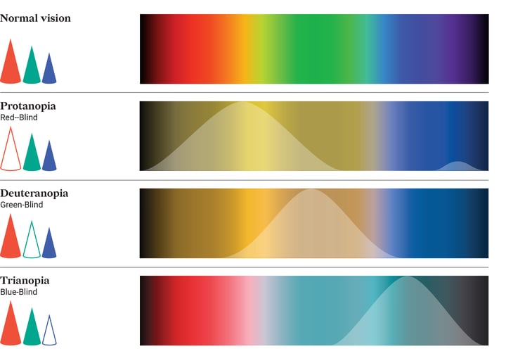 Colorblindness depends on what type of cones don't work. The three common types are protanopia, deuteranopia, and trianopia
