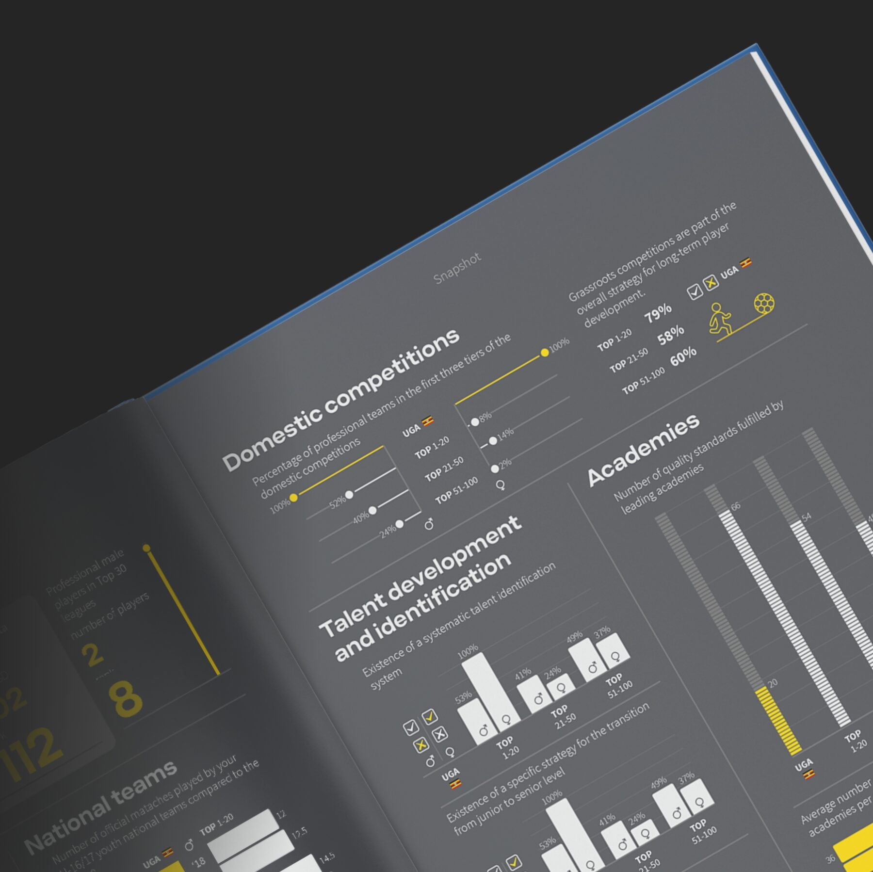 datylon-blog-Jaaf-Information-Design-Unleashing-the-Power-of-Clarity-FIFA-slider