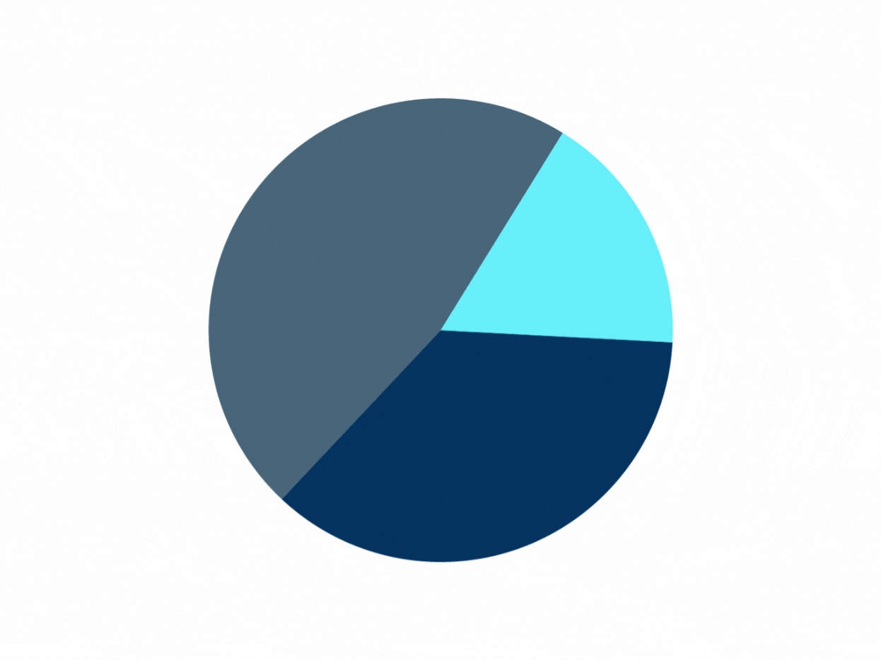 Fully customize your pie chart design with our pie chart maker