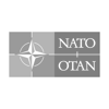 Website-logos-NATO-OTAN