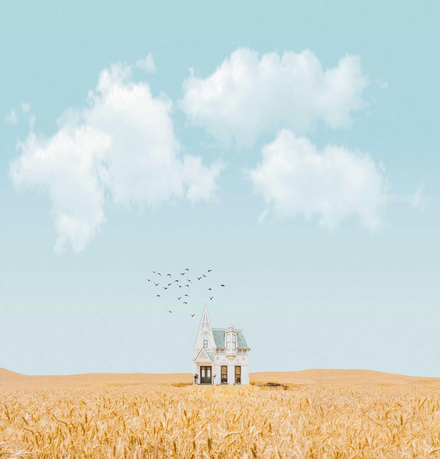 datylon-blog-A-Guide-to_data-Visualization-best-practices-clarity