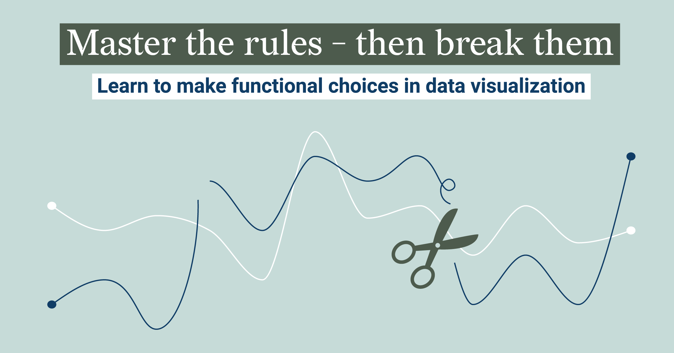 Master the rules - then break them. Learn to make functional choices in data visualization.