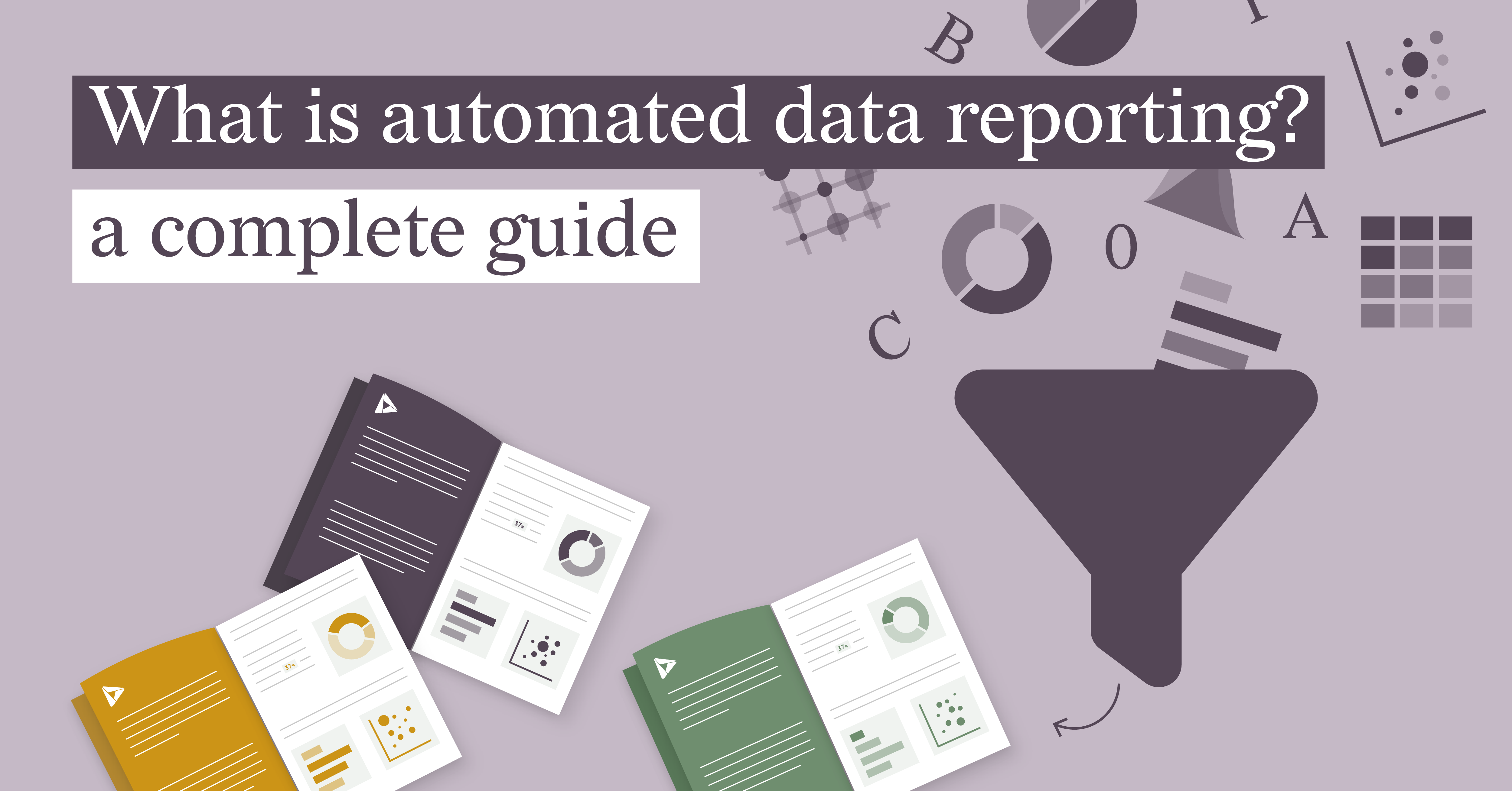 Charts and variations of reports made using Datylon automated solution