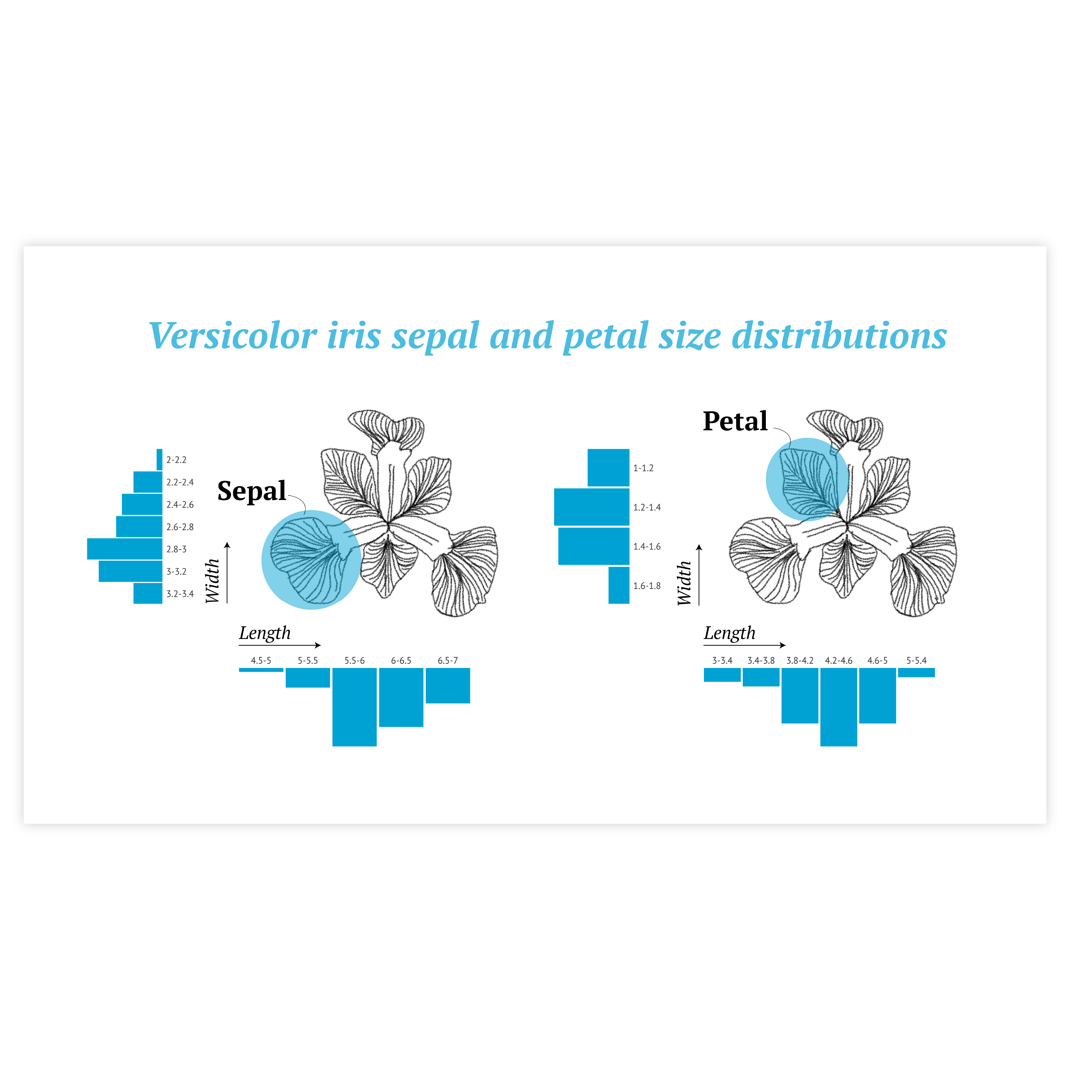 Histogram examples - discover use cases and templates of a histograms with Datylon Inspiration